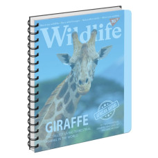 Блокнот "YES" А5/144  3в1 /160131/ "Wild life" #, пластик обкл., з розділ. (3/30)