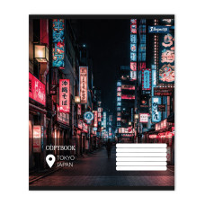 Зошит уч. "1В" 60арк.== /768969/ "City soul" (10/160)