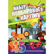 Картон кольоровий А4/15 "Апельсин" /АП-1105/КК-А4-15/ крейд  папір  90г/м (20)