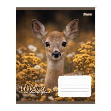 Зошит уч. "1В" 24арк.# /769146/ "Wildlife is beautiful" (20/320)