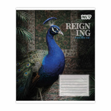 Зошит уч. "YES" 24арк.# /769092/ "Reign ing" (20/320)