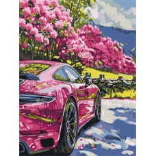 Картина за номерами "Ідейка" /KHO2524/ "Рух у кольорі" 30*40см