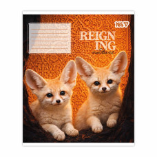 Зошит уч. "YES" 48арк.# /769096/ "Reign ing" (10/200)