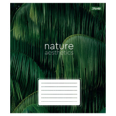 Зошит уч. "1B" 96арк.# /768108/ "Nature aesthetics" (5/120)