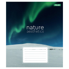 Зошит уч. "1B" 96арк.# /768108/ "Nature aesthetics" (5/120)