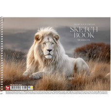 Альбом для малювання "Школярик" А4/30арк./PB-SC-030-8064/ спіраль, 120г/м2 (9/63)