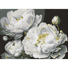 Алмазна мозаїка "Ідейка" /AMO8169/ "Бездоганна краса" 30*40см
