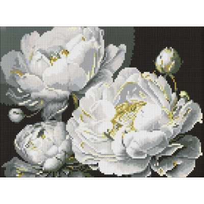 Алмазна мозаїка "Ідейка" /AMO8169/ "Бездоганна краса" 30*40см