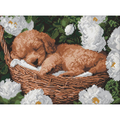 Алмазна мозаїка "Ідейка" /AMO8170/ "Сплячий пудель" 30*40см