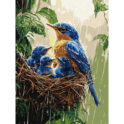 Картина за номерами "Ідейка" /KHO6741/ "Весняний дощ" 30*40см