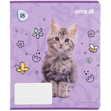 Зошит уч. "Kite" 18арк.# /R25-236/ гібр. лак + УФ лак, Rachael Hale (20/400)