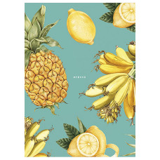 Блокнот "TwinBook"  А5 2в1 /А5-2*040-584/ == + БЕЗ ЛІНІЙ, виб.Мет.ПДВ (64)