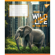 Зошит уч. "YES" 96арк.== /767773/ "The wild in the city" (5/120)