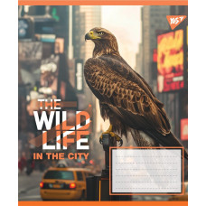 Зошит уч. "YES" 96арк.== /767773/ "The wild in the city" (5/120)