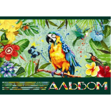 Альбом для малювання "Офорт" /АА4230/ "Тропіки" А4/30арк на скобі (120гр/м)(10/80)