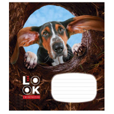 Зошит уч. "Школярик" 12арк.== /2934L/ "LooK/at me" (нейт) (30/300)