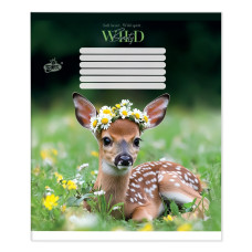 Зошит уч. "Бріск" 12арк.== /ТВ-107/ №2716 Дика гармонiя (25/500)