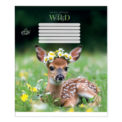Зошит уч. "Бріск" 12арк.== /ТВ-107/ №2716 Дика гармонiя (25/500)