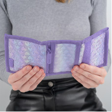 Гаманець "Kite" /K25-598-2/ 598 Awesome (1/20)