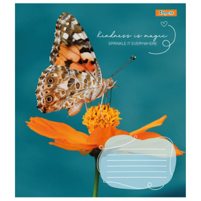 Зошит уч. "1В" 24арк.== /767298/ "Butterfly" (20/320)