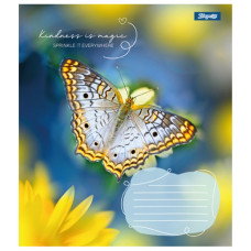 Зошит уч. "1В" 24арк.== /767298/ "Butterfly" (20/320)