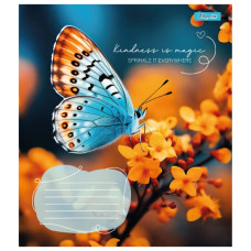 Зошит уч. "1В" 24арк.== /767298/ "Butterfly" (20/320)