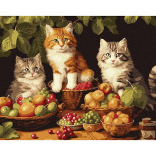 Картина за номерами "Ідейка" /KHO6586/ "Котики і фрукти" 40*50см